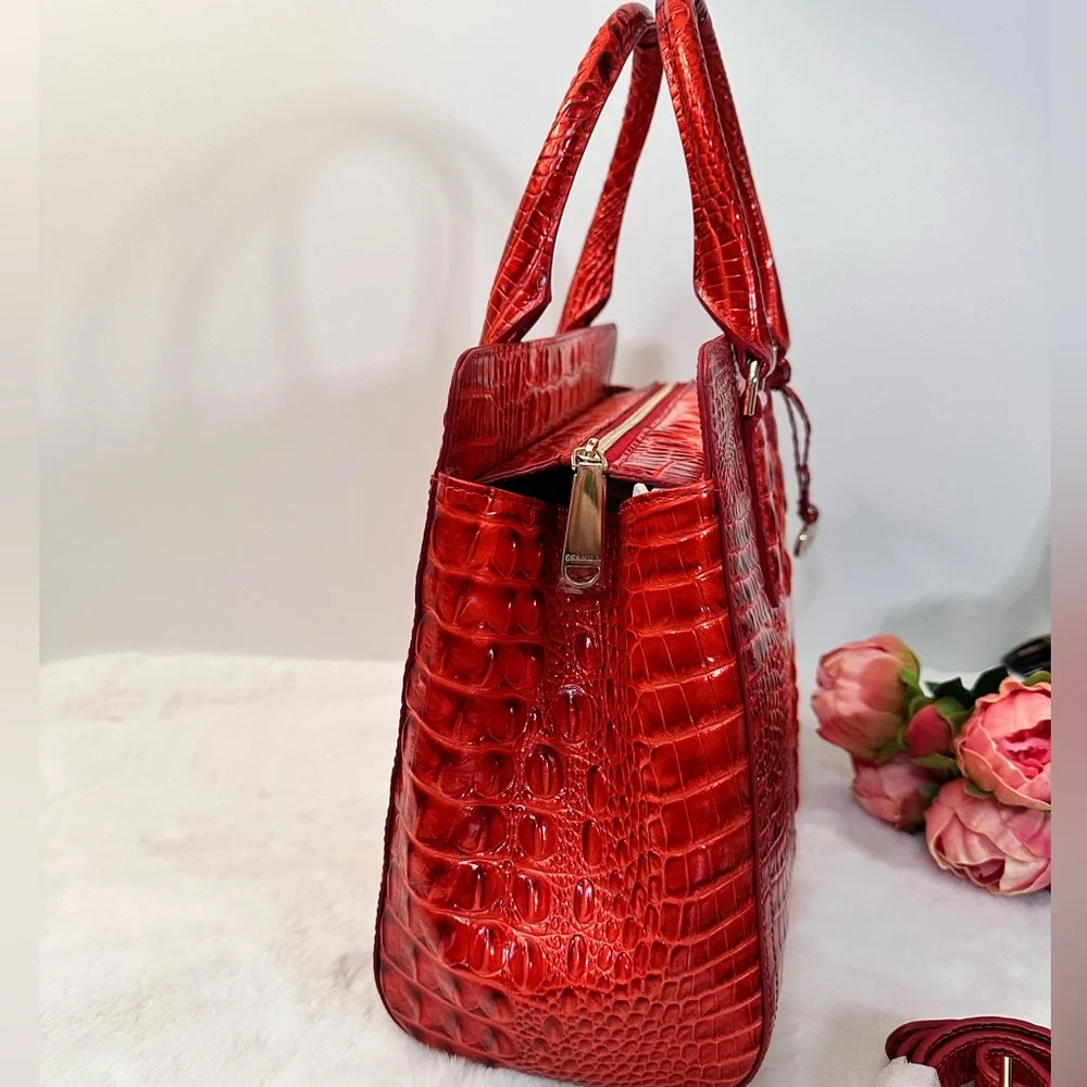 Brahmin small Finley embrace Melbourne - Picture 6 of 12